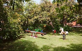 Homeforguest Cosy Rural Flat La Lavanda Surrounded By Nature